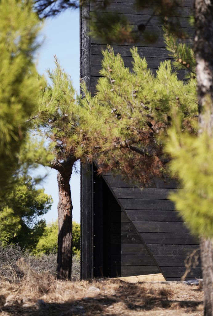 Path leading up to the dark timber pavilion