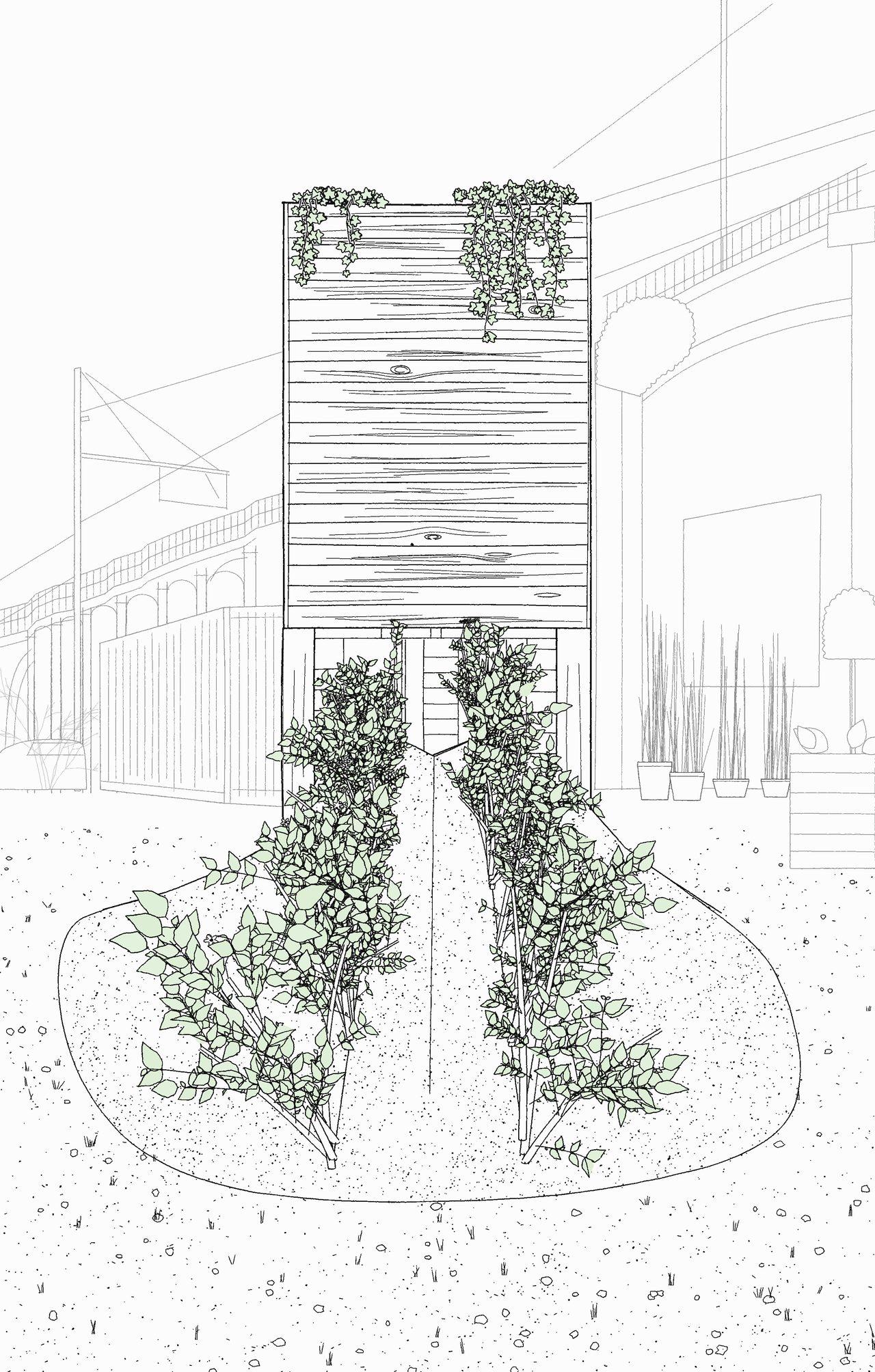 Sketch of the chapel end-on with mature planting: the two furrows grown into hedges and ivy trailing from the roof pits