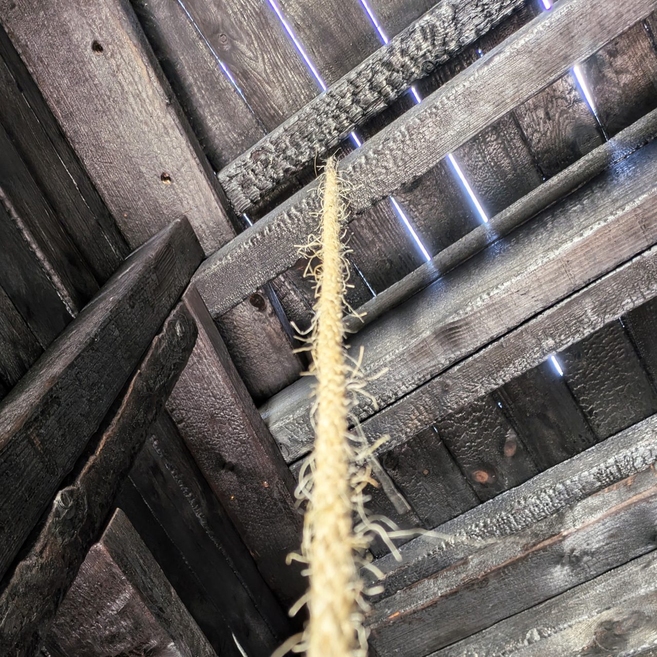 Detail of a single sisal rope