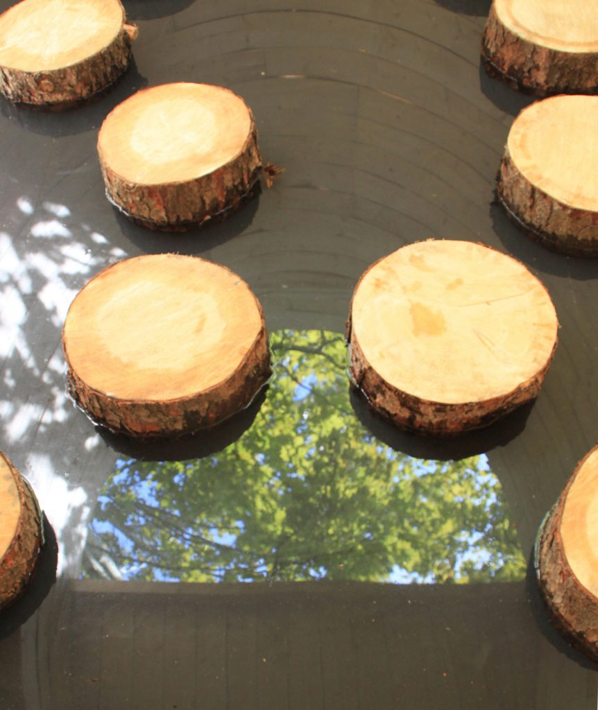 Reflections in the interior pool